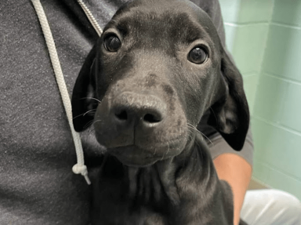 9.5.24 Discerning Whitewater – Fix the Lakes&nbsp;First